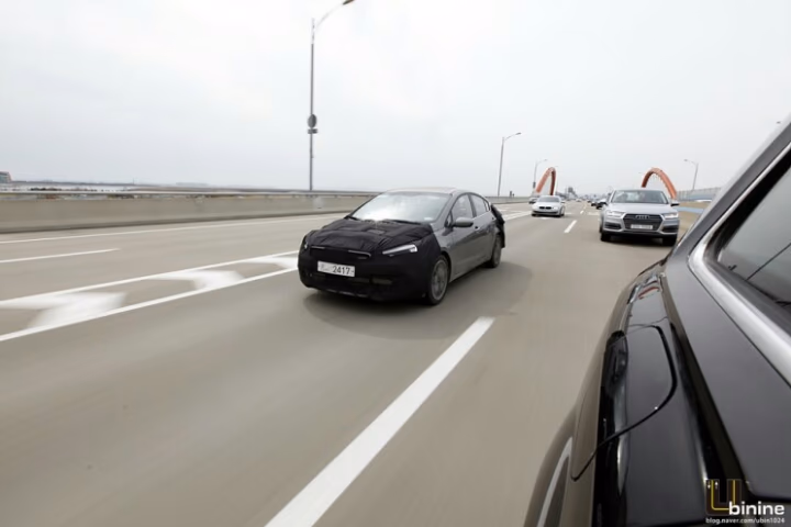 mg_5028.jpg