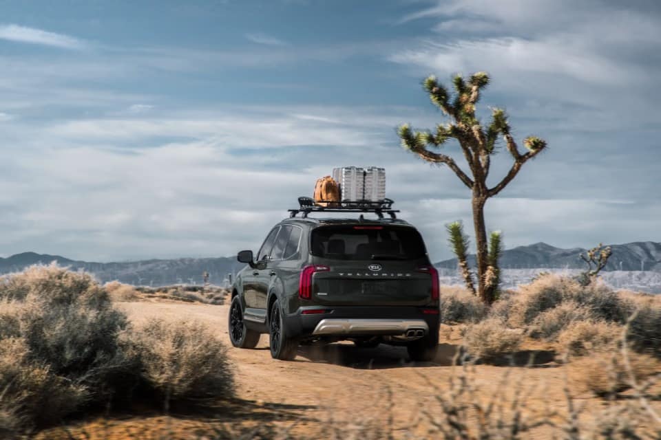 Kia Telluride 2020