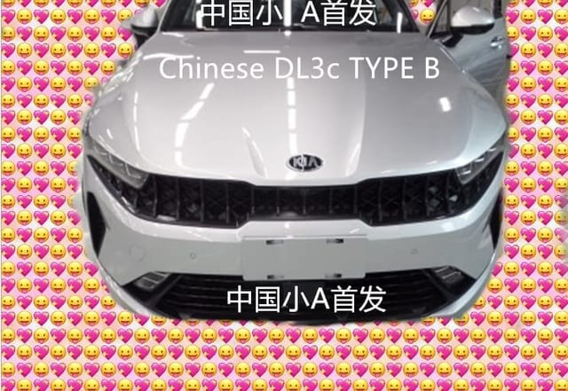2021 Kia Optima Chinese Version