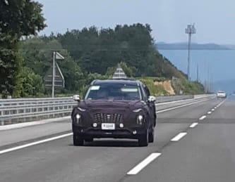 Hyundai Santa Fe XL Spied
