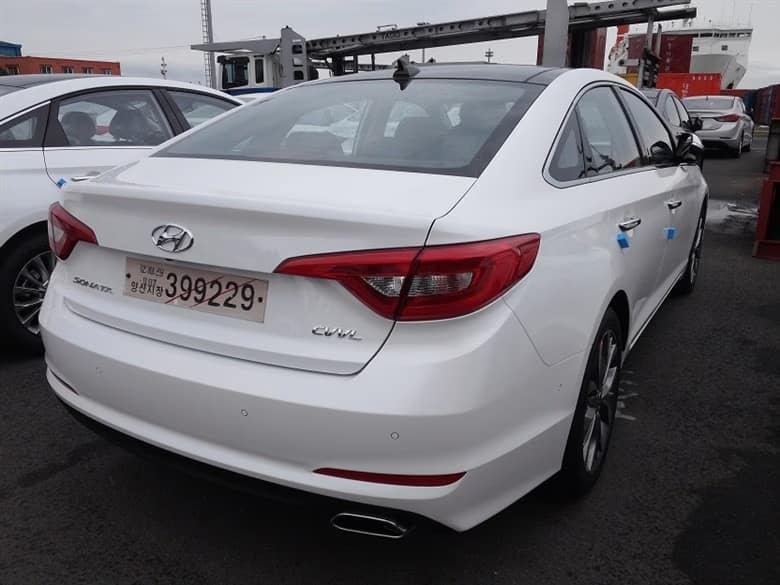 hyundai-sonata-lf-caught-wild-2
