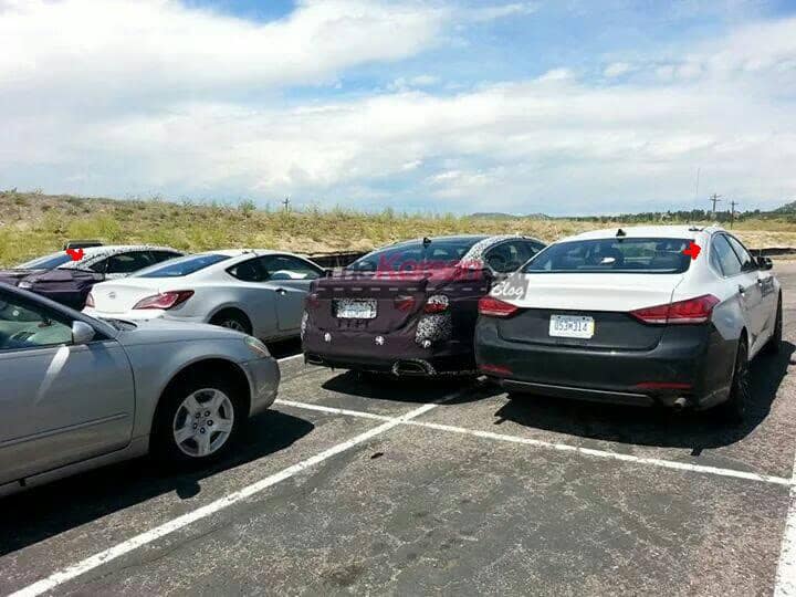 2016-hyundai-equus-test-mule-spied-for-the-first-time (1)