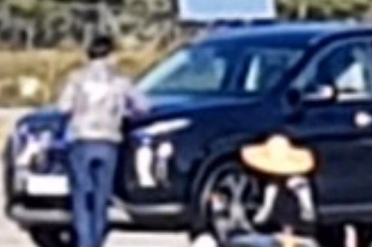 hyundai palisade sin camuflaje (2)