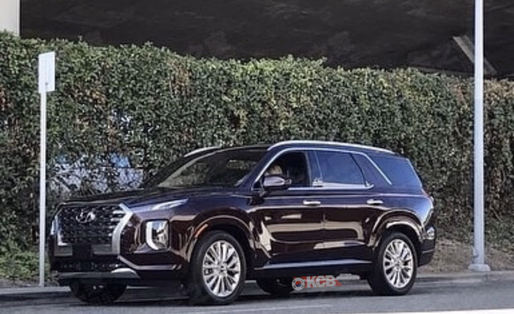 2020 Hyundai Palisade ungetarnt gesichtet (2)