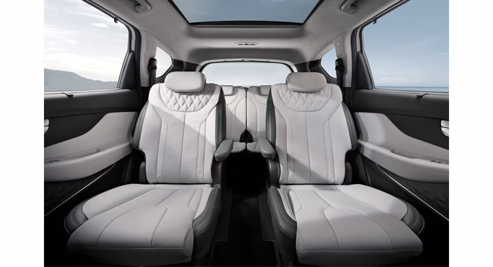 hyundai santa fe 2022 6 places (2)