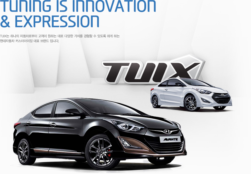 2014-hyundai-elantra-avante-sedan-tuix-edition-south-korea (6)