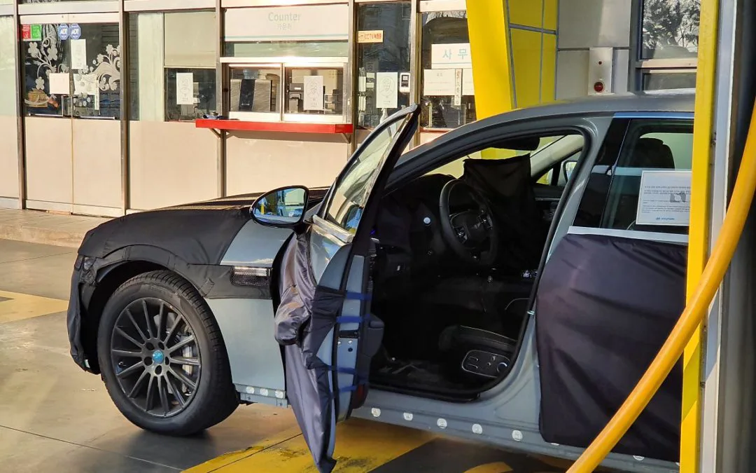 Genesis G90 Spied, Door Open