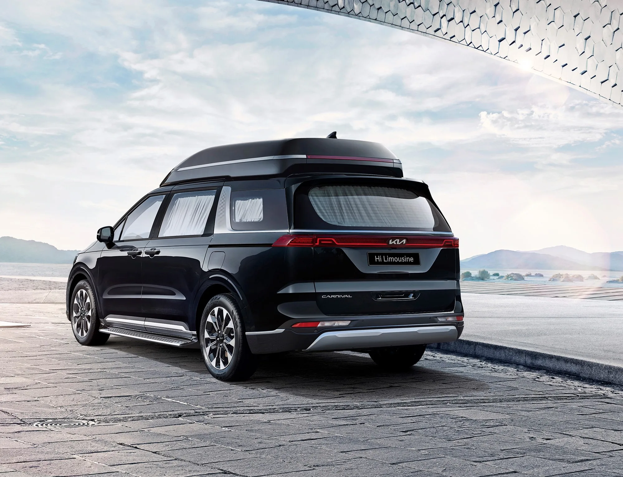 kia carnival limousine 8