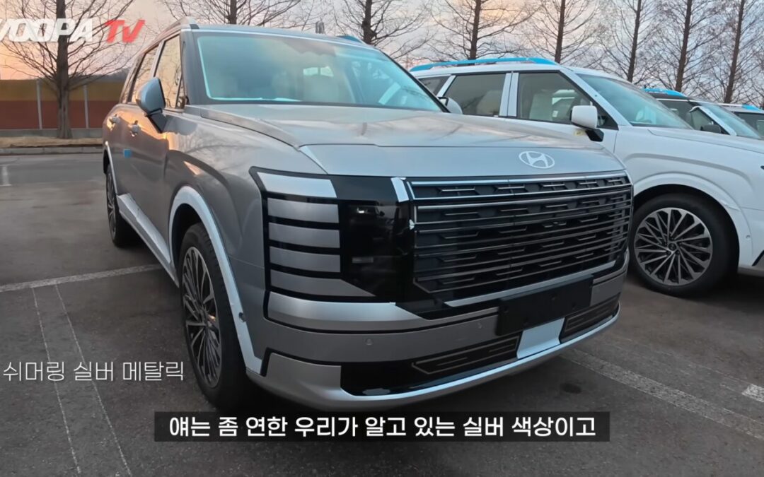 All New Hyundai Palisade Exterior & Interior Color (Real World)