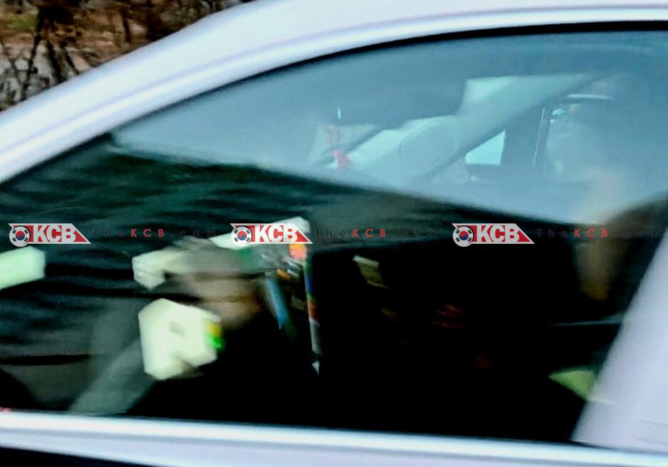 hyundai grandeur pleos confirmed